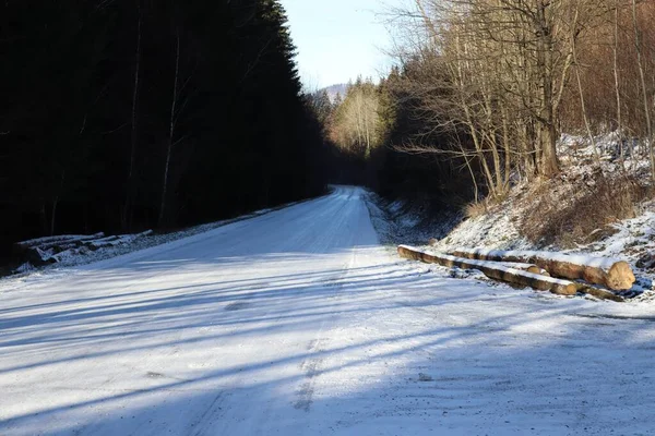 Karlı ve buzlu bir orman yolu manzarası. Güneşle aydınlatılan ağaçlar ve uzun gölgeler