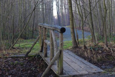 Ormandaki derenin üzerindeki tahta köprü..