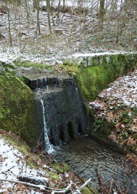 Ormandaki bir derede şelale.