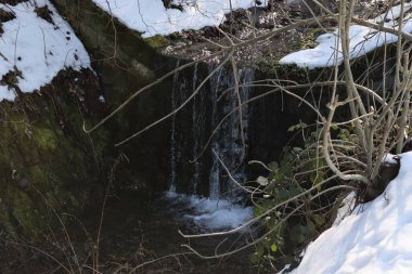 Ormandaki bir derede şelale.