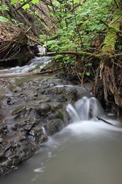 Kayalık bir sahilde derede çağlayan bir su. Vahşi doğal akıntı. Hareket fotoğrafçılığı. Kapama hızı yavaş. Beskydy Dağları.
