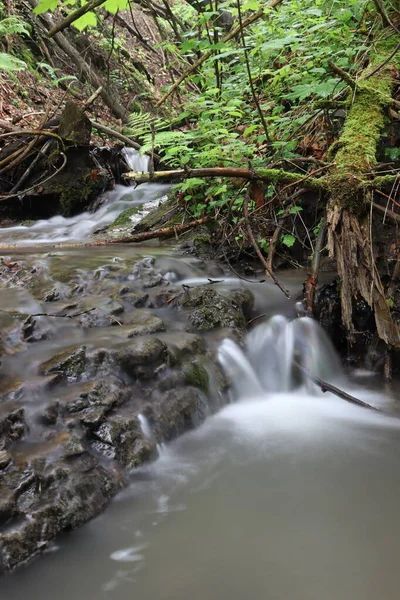 Kayalık bir sahilde derede çağlayan bir su. Vahşi doğal akıntı. Hareket fotoğrafçılığı. Kapama hızı yavaş. Beskydy Dağları.