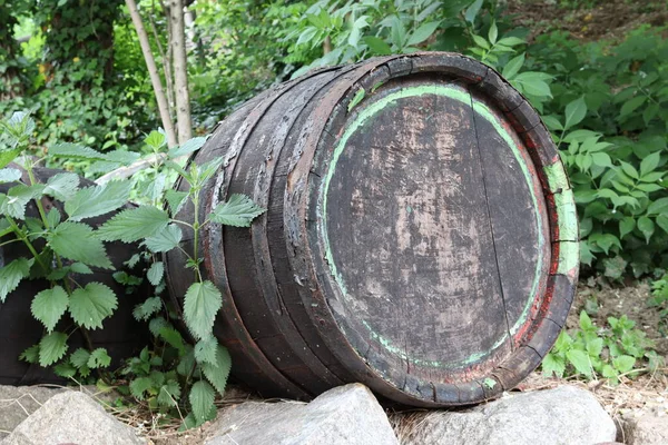 Old wine barrel on a stone wall overgrown with nettles. Decoration in the garden.