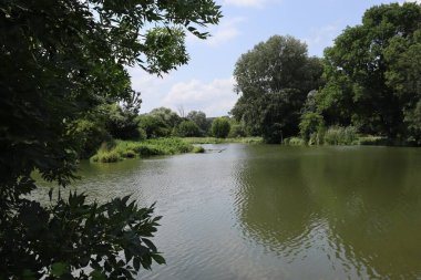 Lednice-Valtice bölgesi. Çek Cumhuriyeti 'ndeki Dyje nehrinin manzarası. Nehrin aşırı gelişmiş kıyıları. Korunan manzara alanı. Aranan turistik yer.