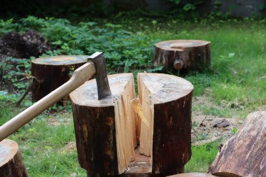Balta kütüğe sıkıştı. İkiye bölünmüş bir çam kütüğü. Yakacak odun hazırlama.