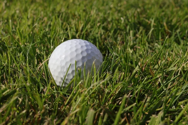 Çimlerin üzerinde beyaz golf topu. Kötü golf atışı..