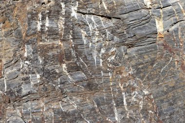 Kaya dokusu. Taş zemin. Ortogneiss ve Gneiss Kayası.