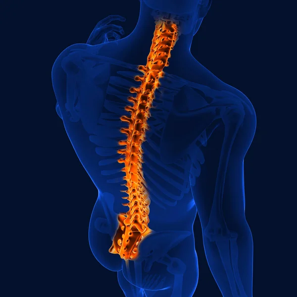 관절통은 관절을 둘러싸고 힘줄에 영향을 미치는 부상때문에 수있다 — 스톡 사진