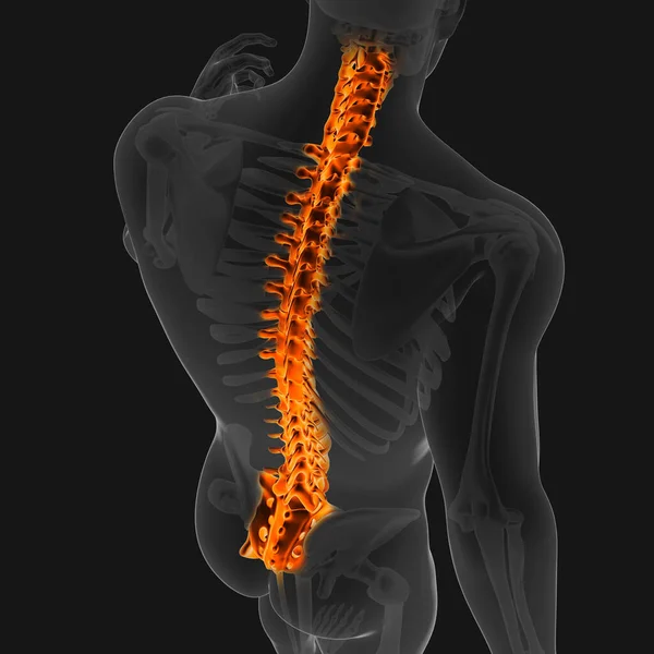 Dolor Articular Puede Ser Causado Por Lesiones Que Afectan Cualquiera —  Fotos de Stock