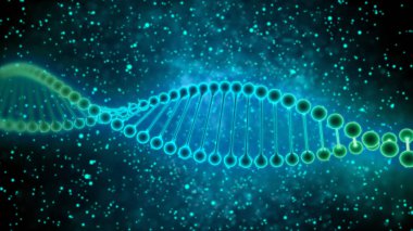 DNA, canlı varlıkların gelişimi ve işlevleri için genetik talimatlar içeren nükleik bir asittir. DNA 'nın hücredeki başlıca rolü uzun süreli bilgi depolamasıdır.