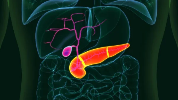 Ilustración Vesícula Biliar Humana Con Anatomía Del Páncreas Para Concepto — Foto de Stock