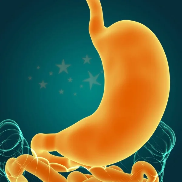 医学概念三维图解的胃解剖人体消化系统 — 图库照片