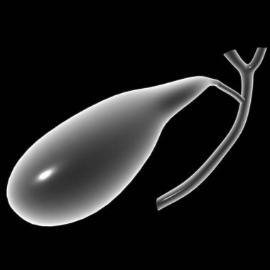 pankreas İnsan Sindirim Sistemi Anatomisi Tıbbi Konsept 3 boyutlu İllüstrasyon