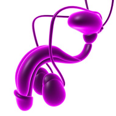 Tıbbi Konsept için Erkek Üreme Sistemi Anatomisi 3B İllüstrasyon