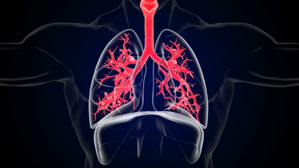 人肺呼吸运动的灵感与终止横隔膜功能3D动画 — 图库视频影像