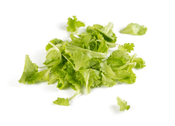 Зеленый салат на белом — стоковое фото