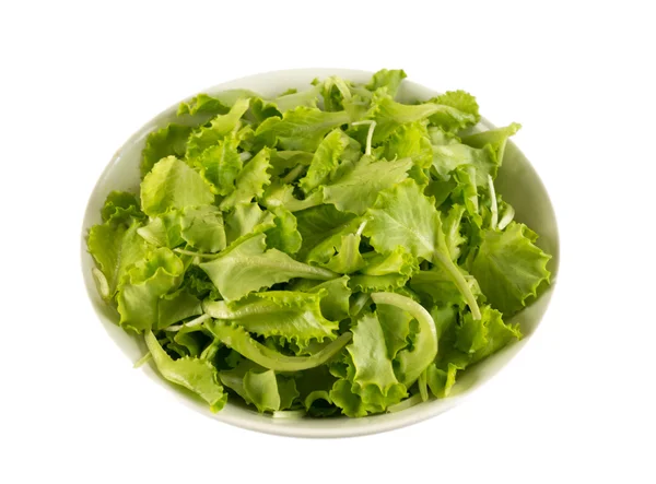 Lettuce in a bowl isolated on white — Stock Photo, Image