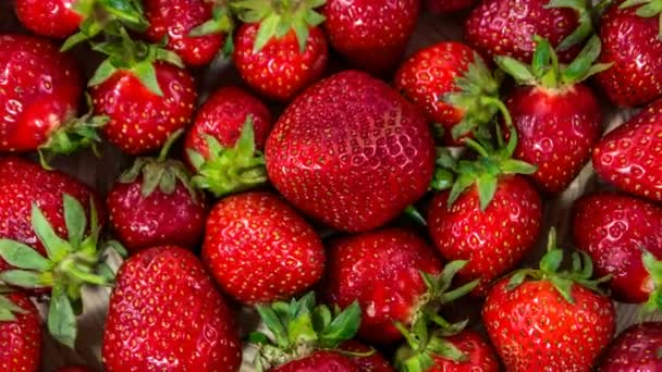 Fresh Strawberry Close-up Rotating. — Stock Video