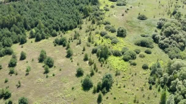 Luchtfoto Van Natuurlijke Bladerachtergrond Top Uitzicht Vanaf Drone Het Platteland — Stockvideo