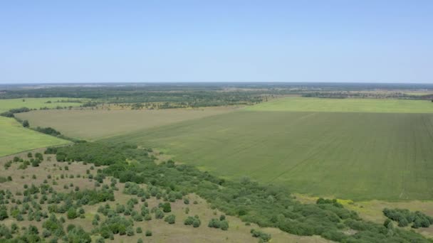 Imágenes Aéreas Del Paisaje Rural Desde Alto Vista Superior Desde — Vídeo de stock