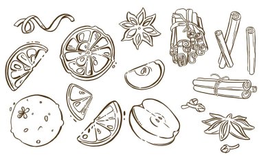 Noel baharatları, yıldız anason, elma. Yüksek kaliteli illüstrasyon