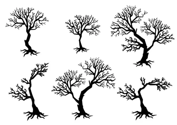 Conjunto Silhuetas Árvores Floresta Parque Ilustração Alta Qualidade — Fotografia de Stock