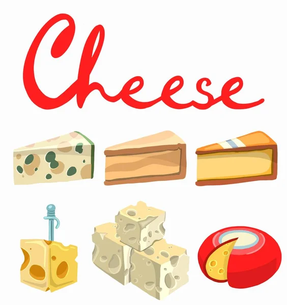 奶酪的类型 现代平面写实主义矢量图解图标隔离在白色背景 矢量说明 — 图库矢量图片