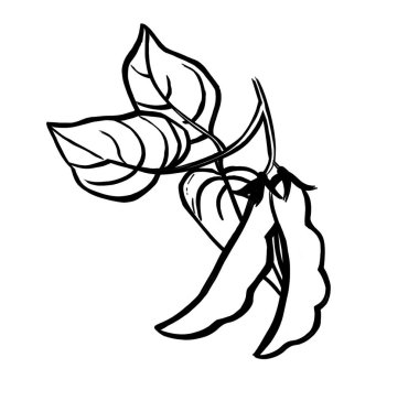 Beyaz arkaplanda izole edilmiş ana hatlı bezelye simgesi. Bitki sembolü bit haritası çizimi.