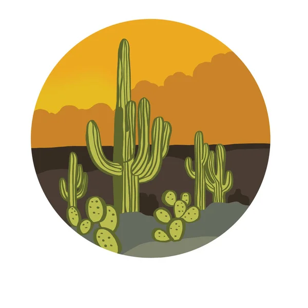 Illustration Texas Graphique Imprimé Western Cactus Pour Tee Shirt Shirt — Photo