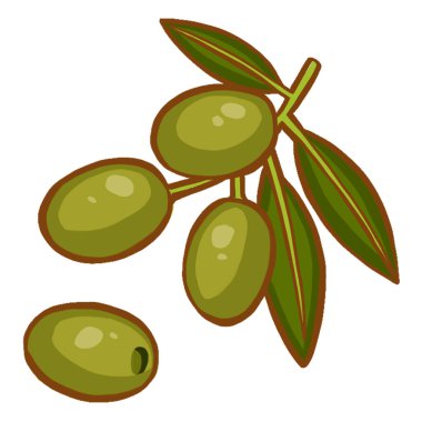 Modern zeytin ikonu, zeytin dalı sembolü. Beyaz arka plan. Yüksek kaliteli illüstrasyon