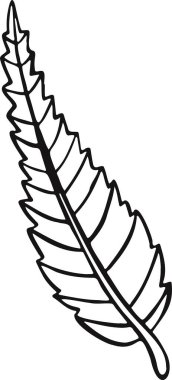 Yaprak bitkisi çizimi çizim sembolü