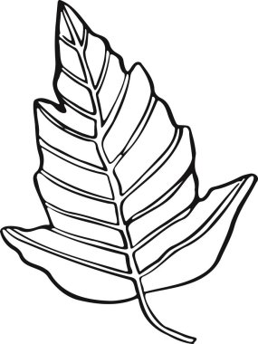 Yaprak bitkisi çizimi çizim sembolü