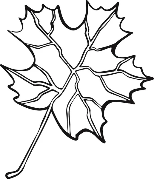 Symbol Kresby Čáry Listnatého Stromu — Stockový vektor