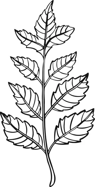 Feuille Plante Arbre Ligne Dessin Illustration Symbole — Image vectorielle