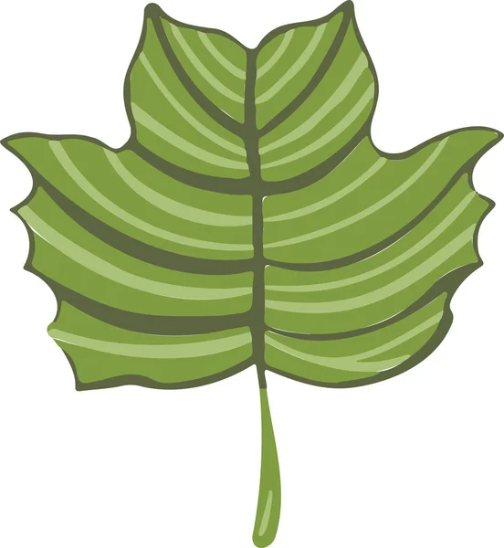 Liść Roślin Drzewo Kolorowy Rysunek Ilustracja Symbol — Wektor stockowy