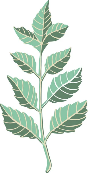 Leaf Plant Tree Colorful Drawing Illustration Symbol — Stockový vektor