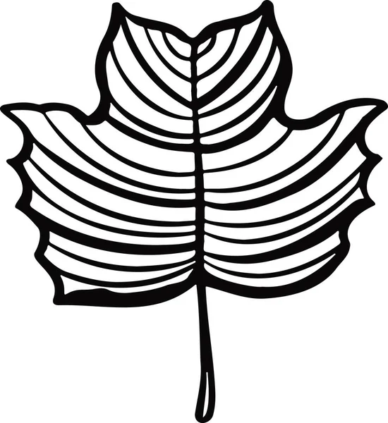 Leaf Plant Tree Line Drawing Illustration Symbol — Stock Vector