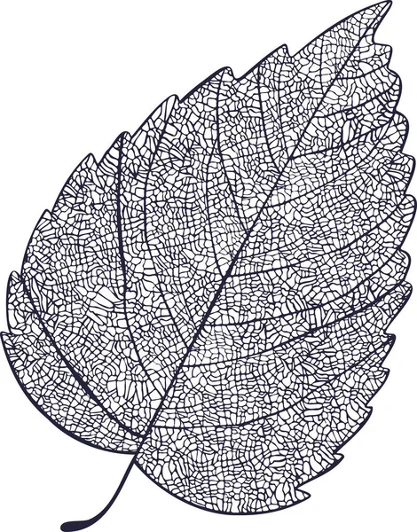 Leaf Plant Tree Line Drawing Illustration Symbol — Stock Vector