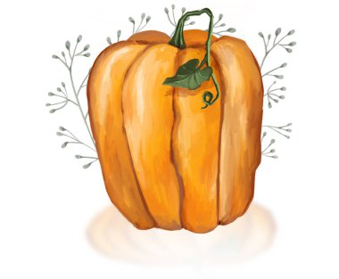 Balkabağı sihirli Cadılar Bayramı illüstrasyonu. Yüksek kalite 