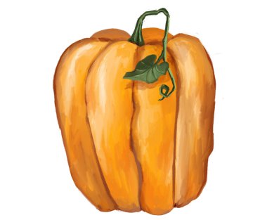 Balkabağı sihirli Cadılar Bayramı illüstrasyonu. Yüksek kalite 