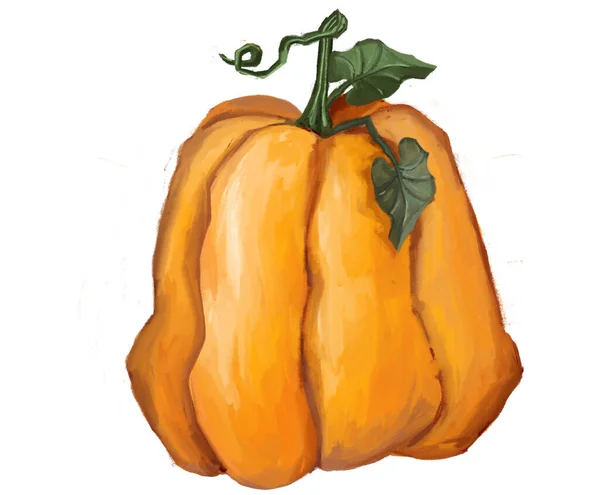 Pumpkin 할로윈의 고품질 — 스톡 사진