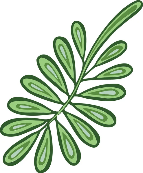 Symbole vert végétal icône de feuille et vecteur, — Image vectorielle