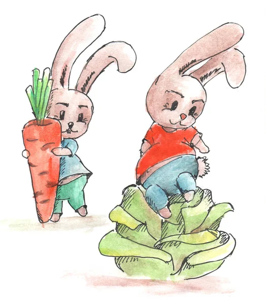 Rabbits Farmers Collect Vegetables — Stock Photo, Image