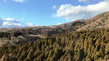 Güzel orman ve dağlar