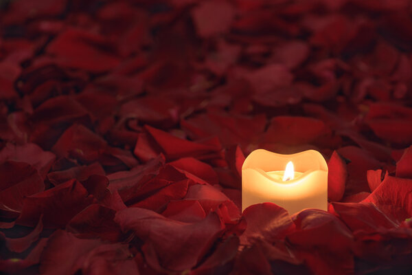 Candle on the rose petals background