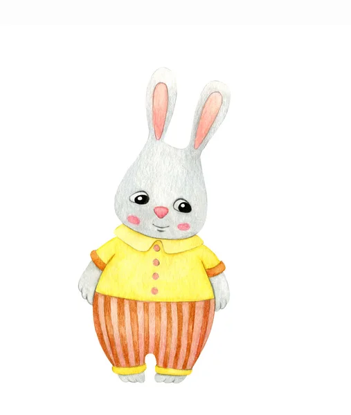 Gömlek ve pantolon giymiş şirin küçük tavşancık. Beyaz arkaplanda izole edilmiş suluboya karikatür çizimi.