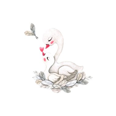 Composition of swans and feathers. Cute white swans: mom and baby sit in a nest of feathers. Watercolor illustration isolated on white background.