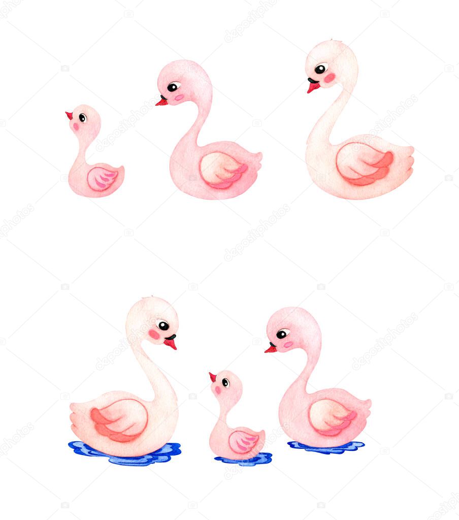 Family of pink swans - parents and baby bird. Watercolor illustration in cartoon style.