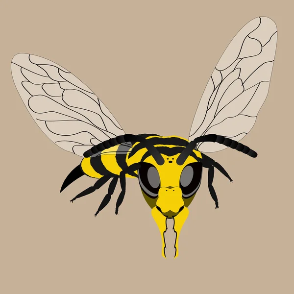 Wasp — Stock Vector