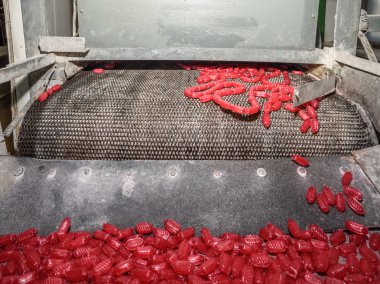 Karamel tatlılar, şekerlemeler makine konveyör dışarı düşüyor